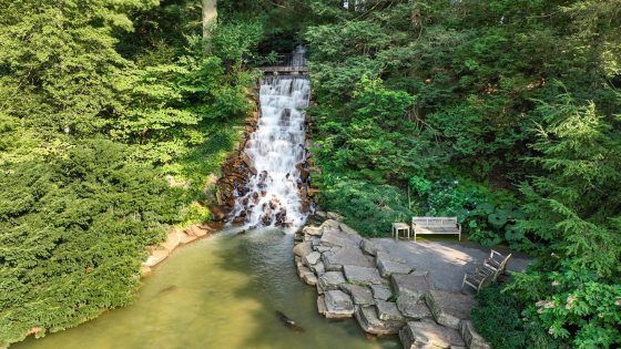 A small waterfall, with two wooden benches on a stone path next to the pond.